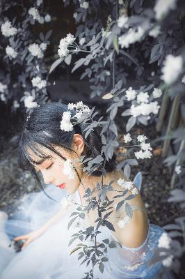 免费PS大片直播软件有哪些